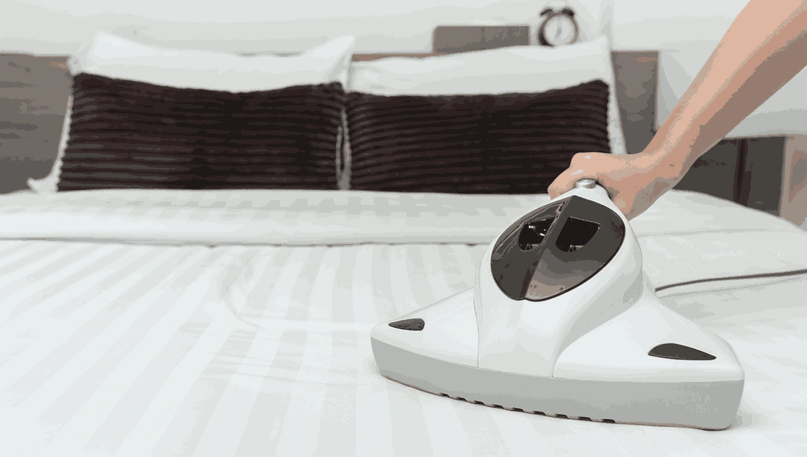 Professional Mattress Cleaning Panton Hill